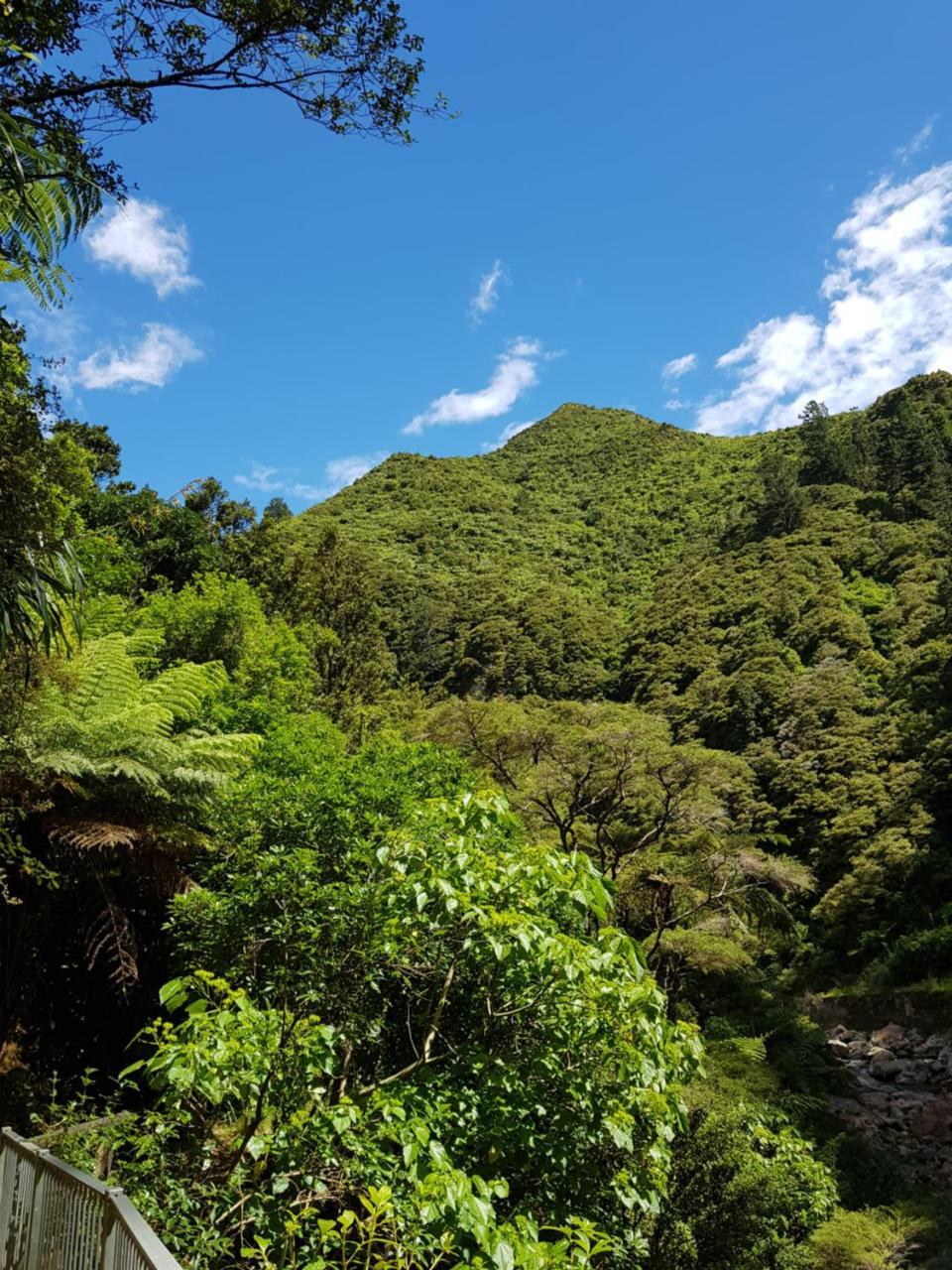 Riverside Accommodation Karangahake المظهر الخارجي الصورة