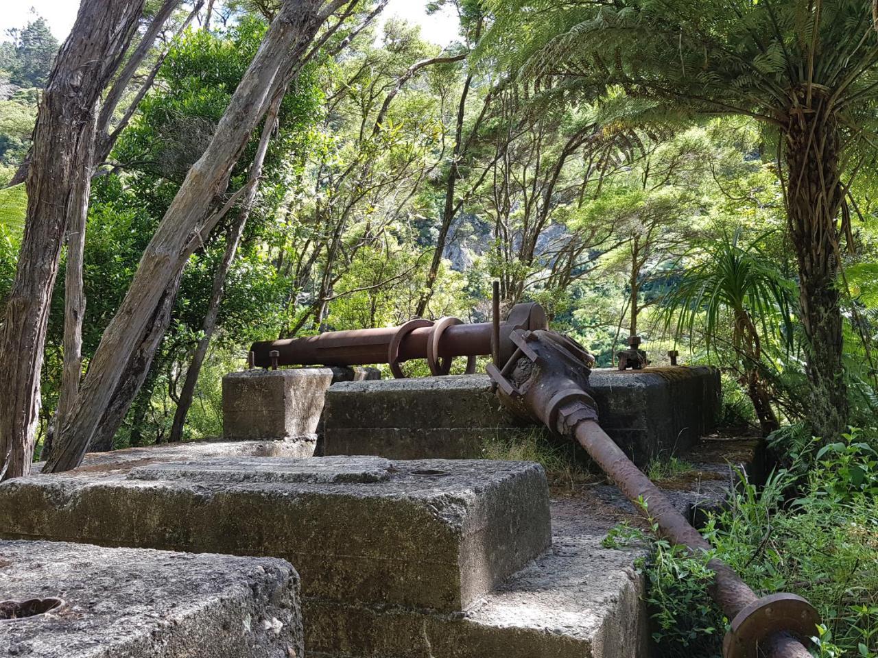 Riverside Accommodation Karangahake المظهر الخارجي الصورة